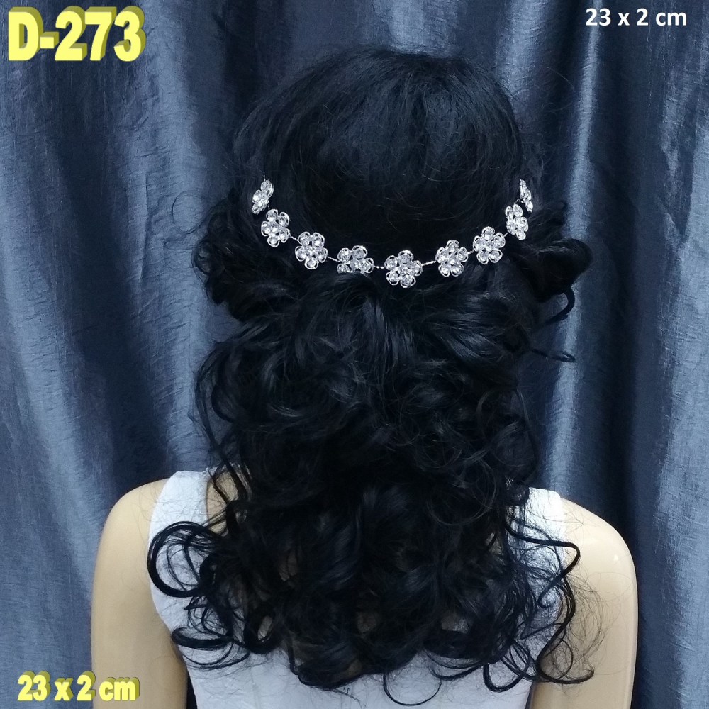 D-273 (1)